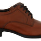 Dolce & Gabbana Elegant Brown Derby Formal Shoes