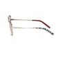 Multicolor Metallic Women's Frame - SEHABRANDS