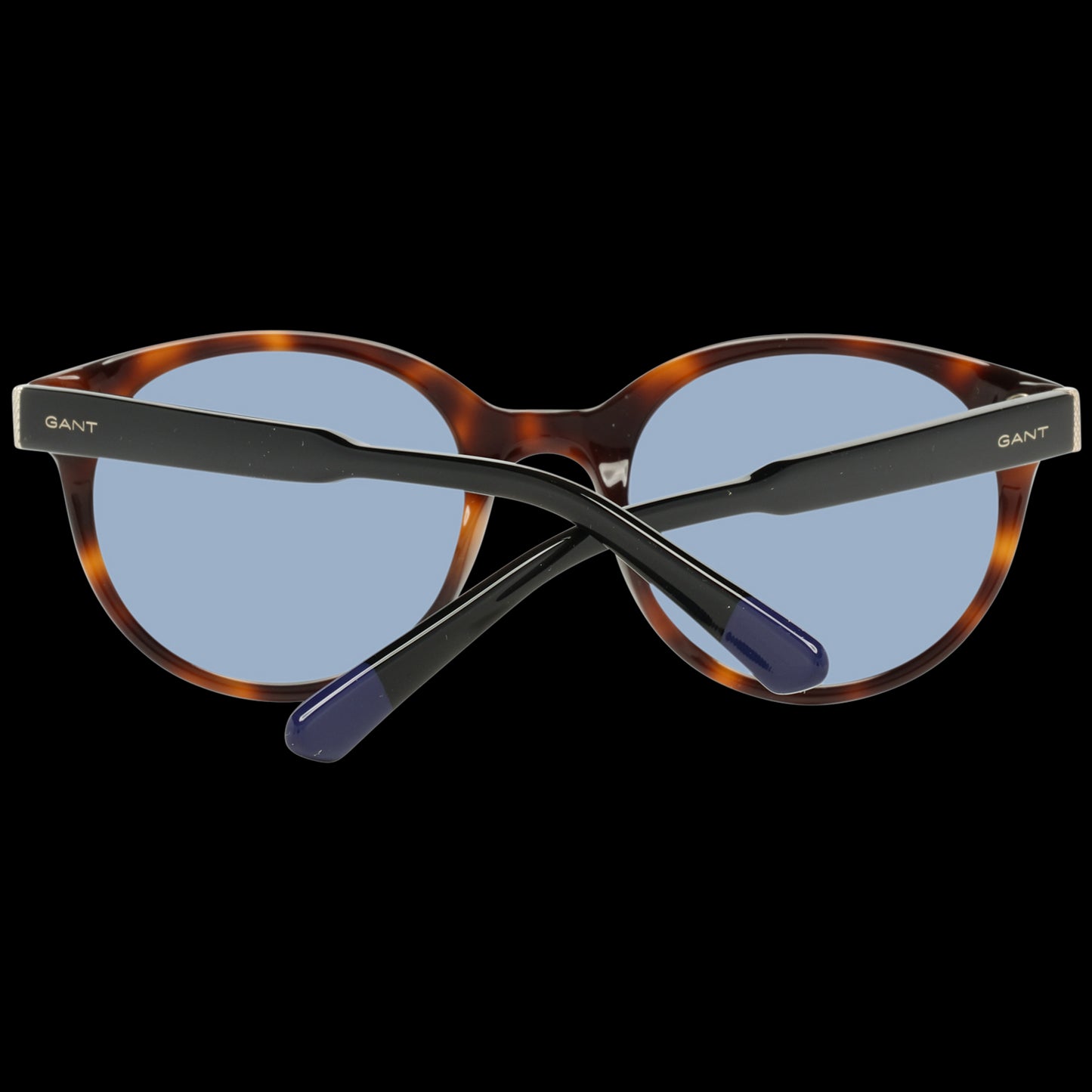 Brown Women Sunglasses - SEHABRANDS