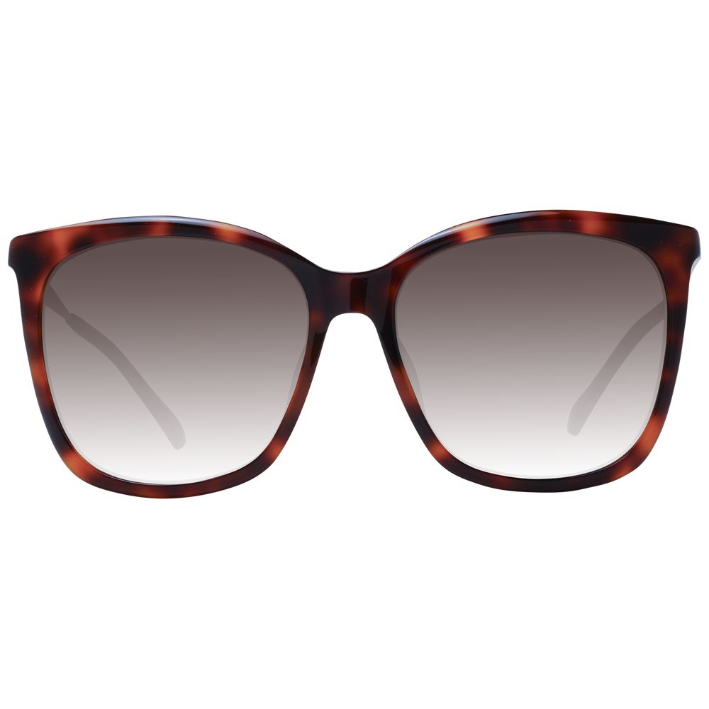 Brown Women Sunglasses - SEHABRANDS