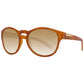 Bolle Brown Unisex Sunglasses